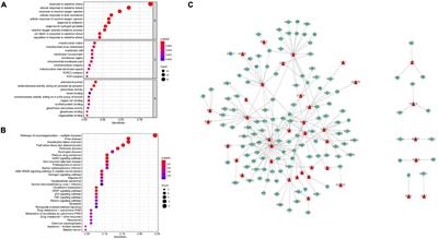 The Multi-Omic Prognostic Model of Oxidative Stress-Related Genes in Acute Myeloid Leukemia